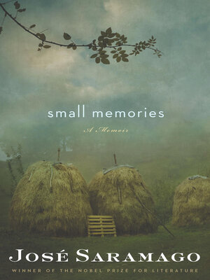 cover image of Small Memories